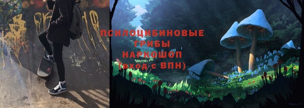 прущая мука Арсеньев
