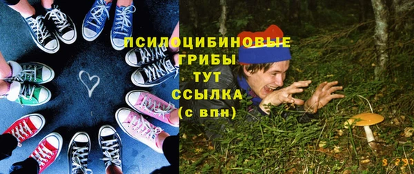 сатива Аркадак