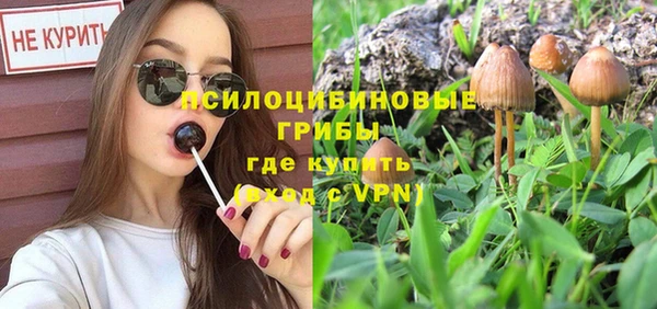 прущая мука Арсеньев