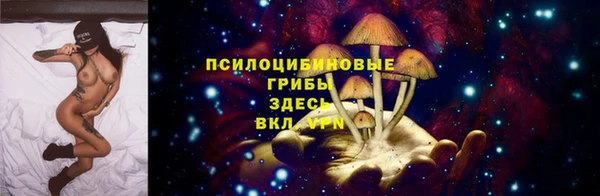 стаф Армянск