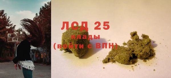 сатива Аркадак