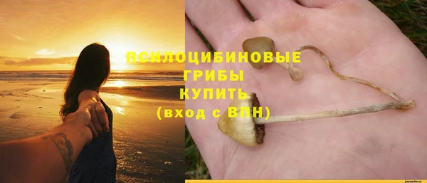 стаф Армянск