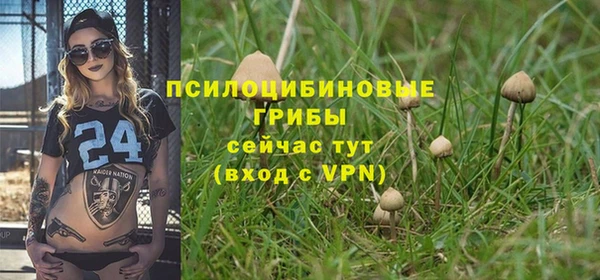 стаф Армянск