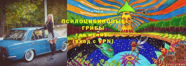 прущая мука Арсеньев
