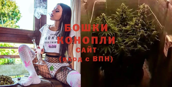 сатива Аркадак