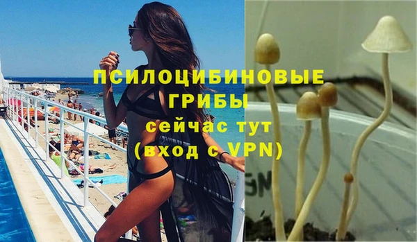 стаф Армянск