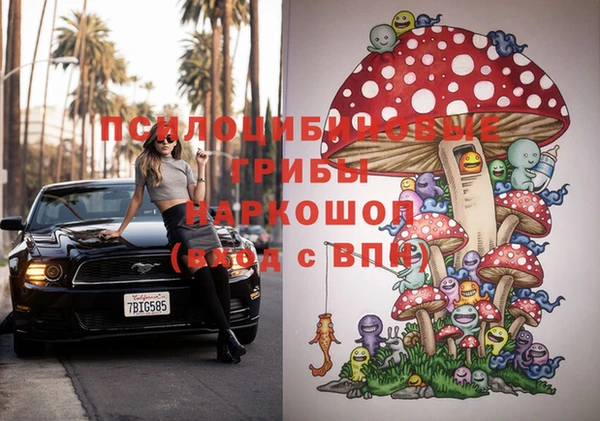 сатива Аркадак