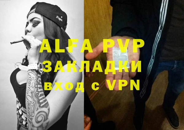 сатива Аркадак
