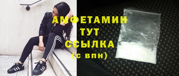 сатива Аркадак