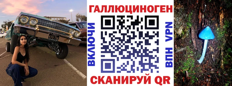 Галлюциногенные грибы GOLDEN TEACHER  ОМГ ОМГ рабочий сайт  Почеп 